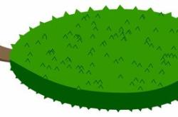 关于教育成长的文章：如何培养孩子学习兴趣、心理健康与综合素质