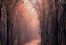 成长教育 rmvb 下载全攻略：轻松获取经典教育电影，解决资源难找与播放问题