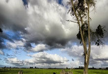 学生成长档案记录表:轻松记录孩子成长轨迹,告别零散资料烦恼