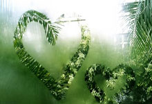 教育故事演讲稿3分钟：掌握结构技巧与情感共鸣，轻松打动听众