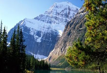 成长教育经典台词：触动心灵的智慧，点亮你的成长之路