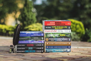 哪个城市的教育质量好？2024最新城市教育质量排名与选择指南